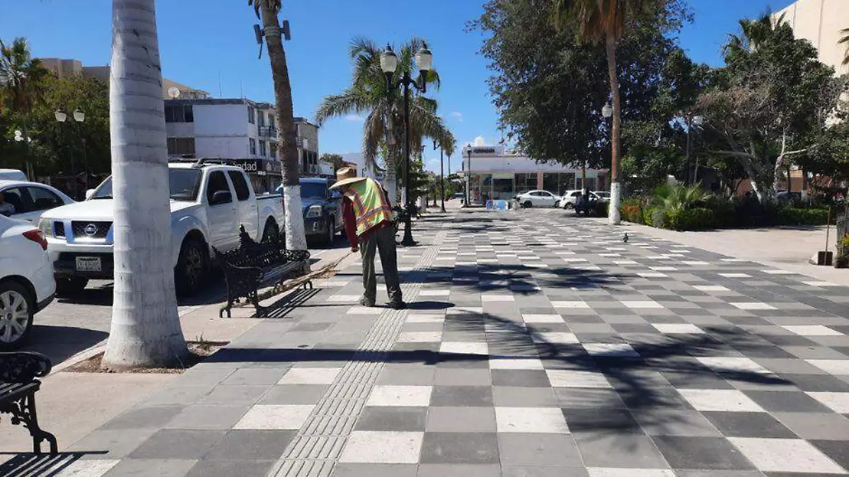 plaga de ratas en jardin velasco 1